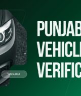 MTMIS Punjab online vehicle verification portal screenshot 2025-2026