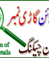 Online Vehicle Verification Pakistan mtmis